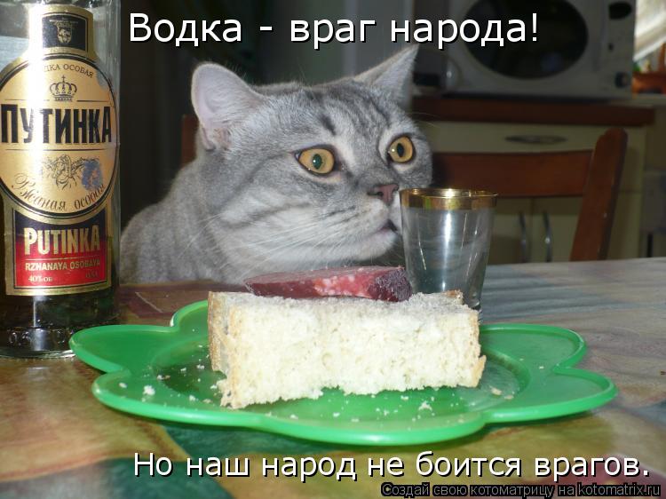 Котоматрица: Водка - враг народа! Но наш народ не боится врагов.