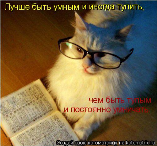 Котоматрица: Лучше быть умным и иногда тупить, чем быть тупым и постоянно умничать.