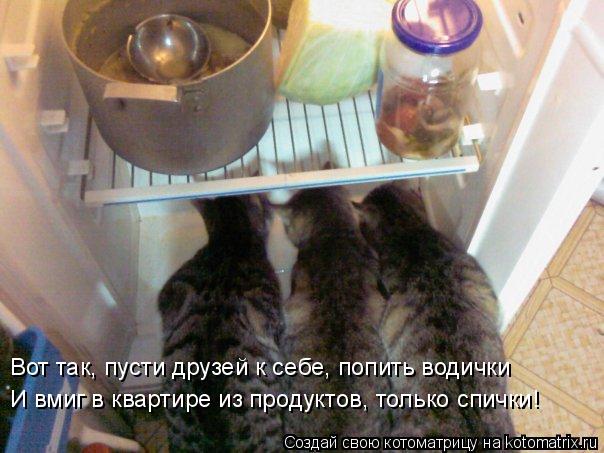 Котоматрица: И вмиг в квартире из продуктов, только спички! Вот так, пусти друзей к себе, попить водички