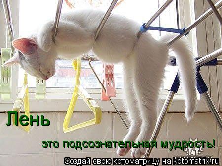 Котоматрица: Лень  это подсознательная мудрость!