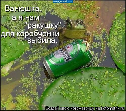 Ванюшка, выбила. а я нам "ракушку" для коробчонки... Котоматрица: Ванюшка, выбила. а я нам "ракушку" для коробчонки