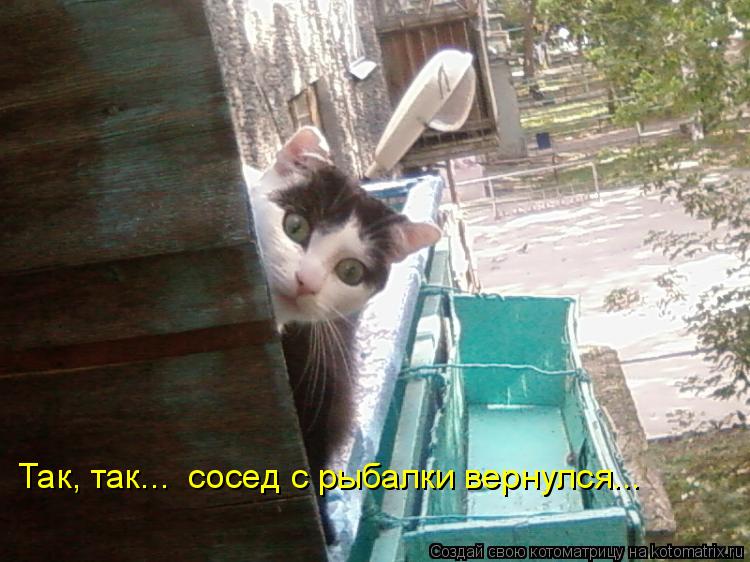 Котоматрица: Так, так...  сосед с рыбалки вернулся...