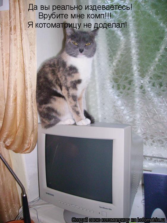 Котоматрица: Да вы реально издеваетесь! Врубите мне комп!!! Я котоматрицу не доделал!
