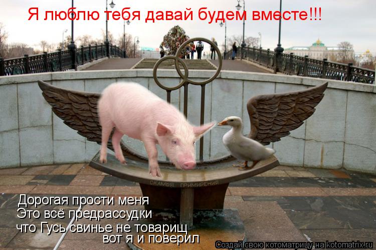 Котоматрица: Дорогая прости меня Это всё предрассудки  что Гусь свинье не товарищ вот я и поверил Я люблю тебя давай будем вместе!!!