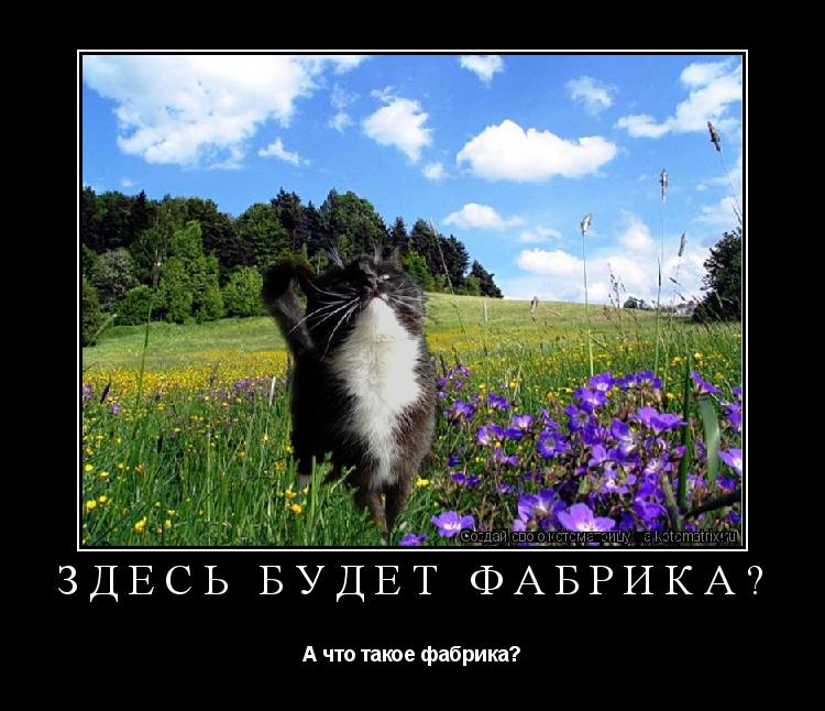 Котоматрица: Здесь будет фабрика? А что такое фабрика?