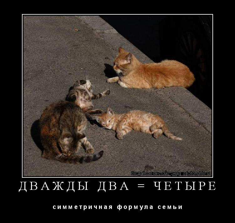 Котоматрица: дважды два = четыре с и м м е т р и ч н а я   ф о р м у л а   с е м ь и