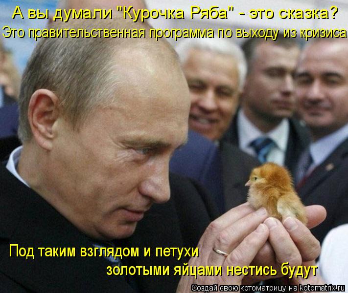 А вы думали "Курочка Ряба" - это сказка? Это правительственная программа по выходу из кризиса Под так... Котоматрица: А вы думали "Курочка Ряба" - это сказка? Это правительственная программа по выходу из кризиса Под таким взглядом и петухи золотыми яйцами не
