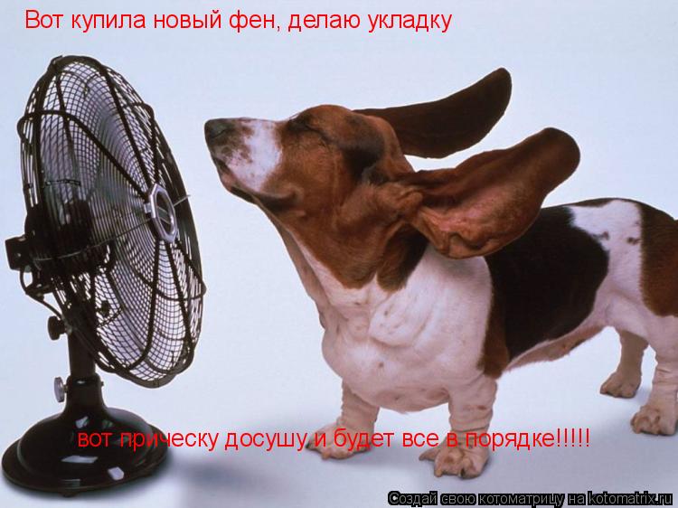 Котоматрица: Вот купила новый фен, делаю укладку вот прическу досушу и будет все в порядке!!!!!