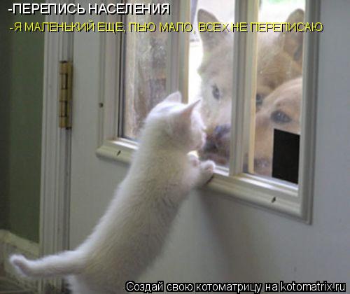 Котоматрица: -Я МАЛЕНЬКИЙ ЕЩЕ, ПЬЮ МАЛО, ВСЕХ НЕ ПЕРЕПИСАЮ -ПЕРЕПИСЬ НАСЕЛЕНИЯ