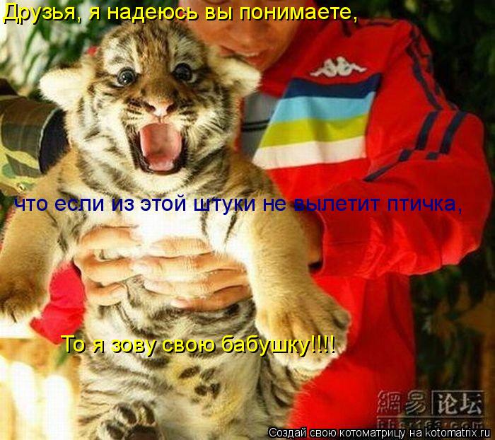 Котоматрица: Друзья, я надеюсь вы понимаете, что если из этой штуки не вылетит птичка,  То я зову свою бабушку!!!!