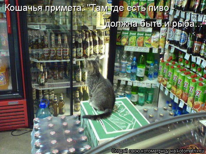 Котоматрица: должна быть и рыба..." Кошачья примета: "Там где есть пиво -