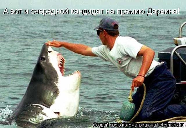 Котоматрица: А вот и очередной кандидат на премию Дарвина!