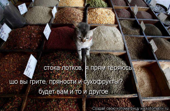 Котоматрица: стока лотков, я прям теряюсь.. шо вы грите, пряности и сухофрукты? будет вам и то и другое