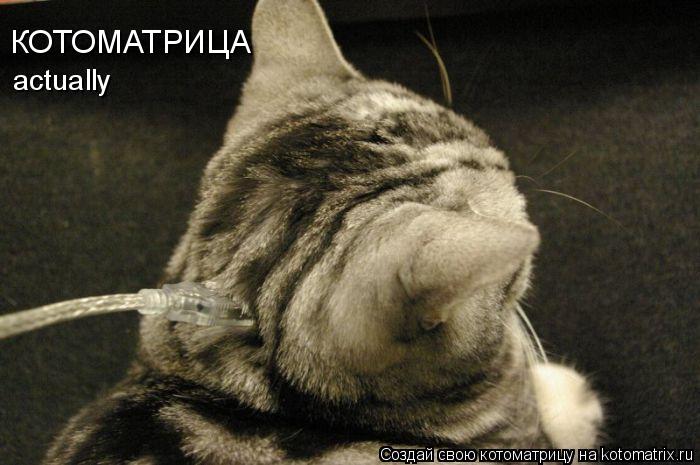 Котоматрица: КОТОМАТРИЦА actually