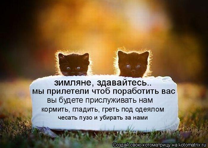 Котоматрица: зимляне, здавайтесь.. вы будете прислуживать нам мы прилетели чтоб поработить вас кормить, гладить, греть под одеялом чесать пузо и убирать 