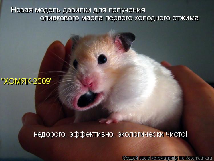 Котоматрица: Новая модель давилки для получения  оливкового масла первого холодного отжима "ХОМЯК-2009" недорого, эффективно, экологически чисто!