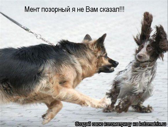 Котоматрица: Мент позорный я не Вам сказал!!!
