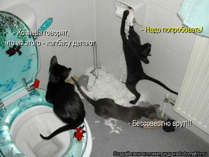Котоматрица: что из этого - колбасу делают. - Надо попробовать! - Бессовестно врут!!! - Хозяева говорят,