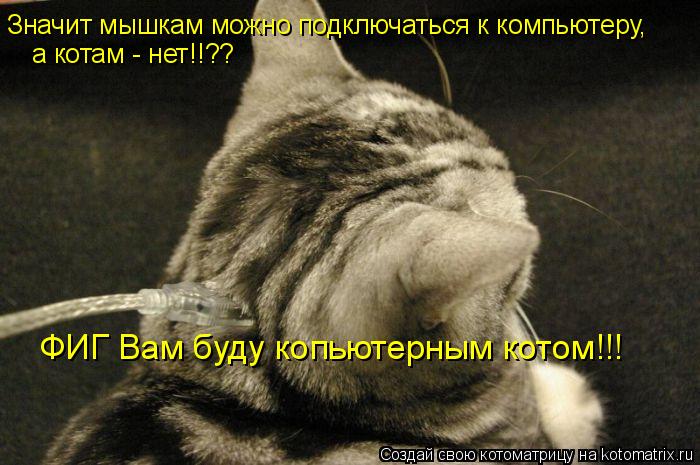 Котоматрица: Значит мышкам можно подключаться к компьютеру,  а котам - нет!!?? ФИГ Вам буду копьютерным котом!!!