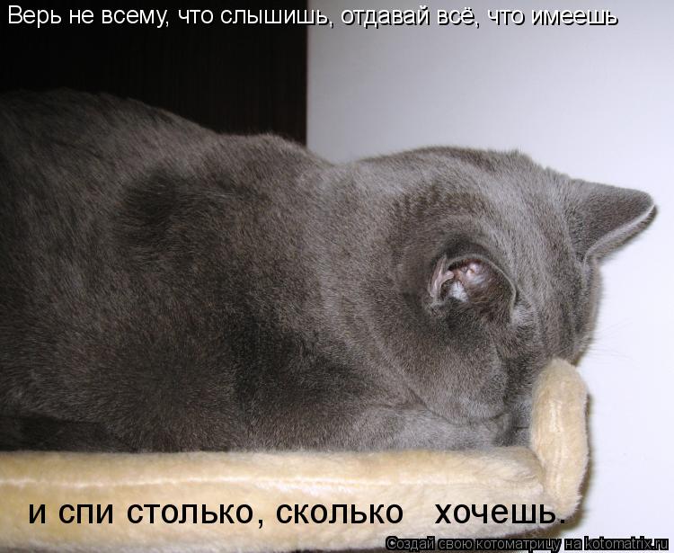 Котоматрица: Верь не всему, что слышишь, отдавай всё, что имеешь и спи столько, сколько   хочешь.