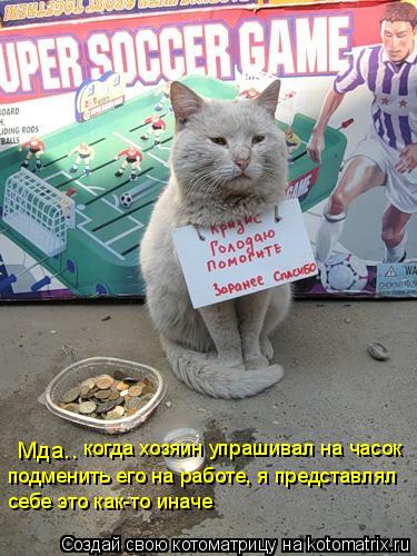 Котоматрица: Мда..  когда хозяин упрашивал на часок подменить его на работе, я представлял  себе это как-то иначе