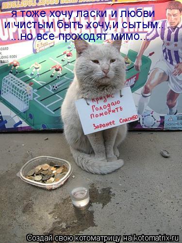 Котоматрица: я тоже хочу ласки и любви и чистым быть хочу,и сытым.. ...но все проходят мимо...