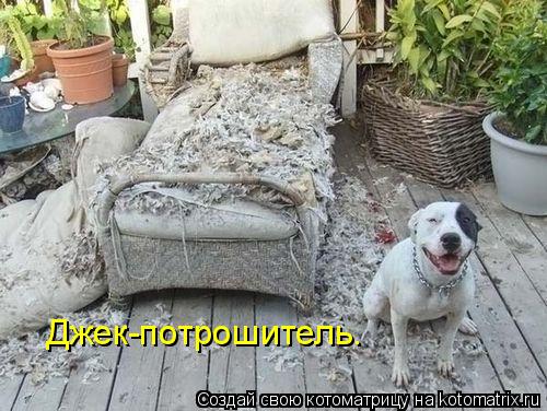 Джек-потрошитель.... Котоматрица: Джек-потрошитель.