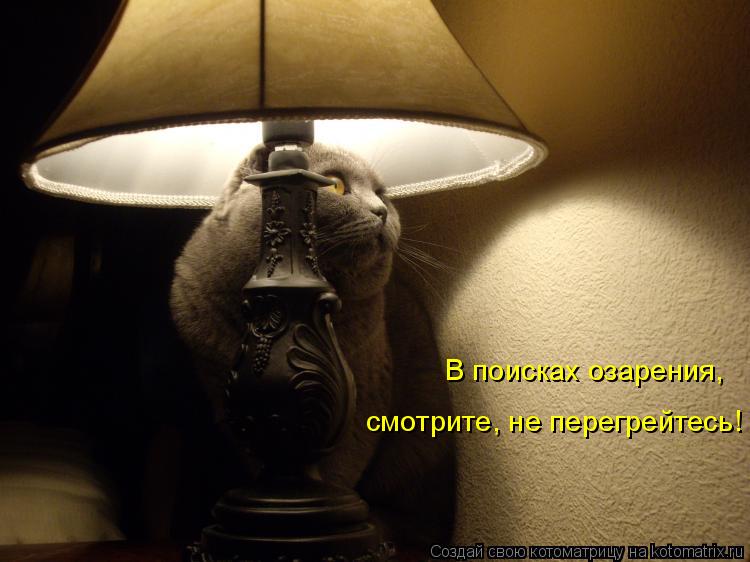 В поисках озарения, смотрите, не перегрейтесь!... Котоматрица: В поисках озарения, смотрите, не перегрейтесь!