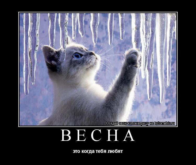 Котоматрица: ВЕСНА это когда тебя любят