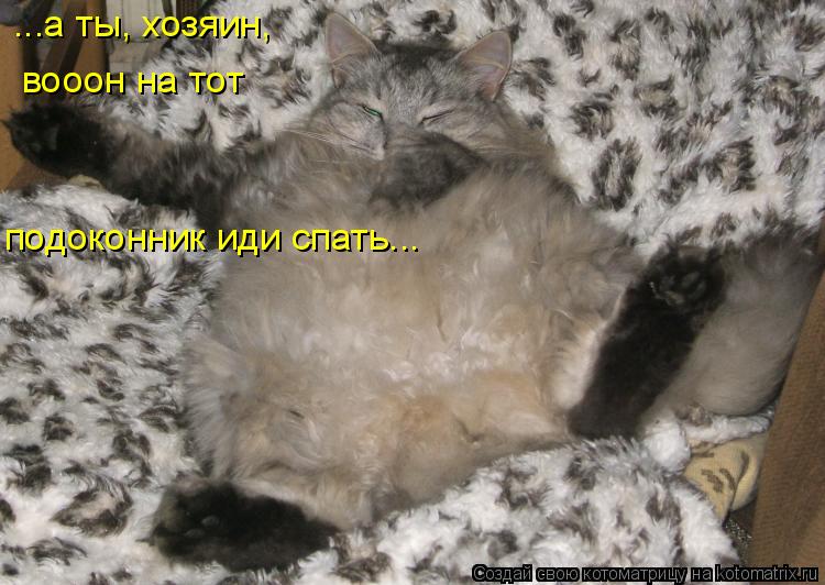Котоматрица: ...а ты, хозяин,  вооон на тот подоконник иди спать...