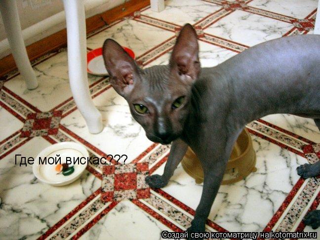 Где мой вискас???... Котоматрица: Где мой вискас???