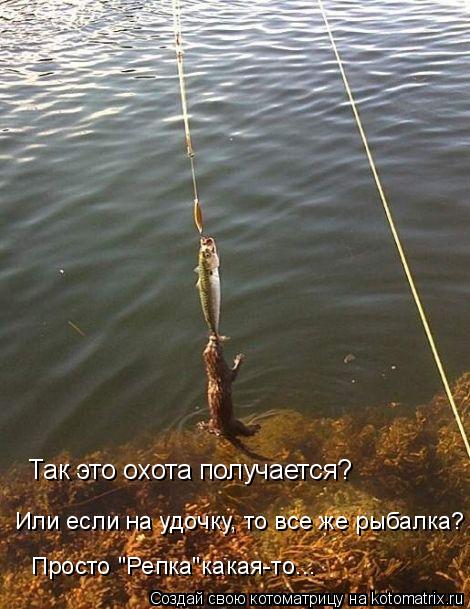 Так это охота получается? Или если на удочку, то все же рыбалка? Просто "Репка"какая-то...... Котоматрица: Так это охота получается? Или если на удочку, то все же рыбалка? Просто "Репка"какая-то...