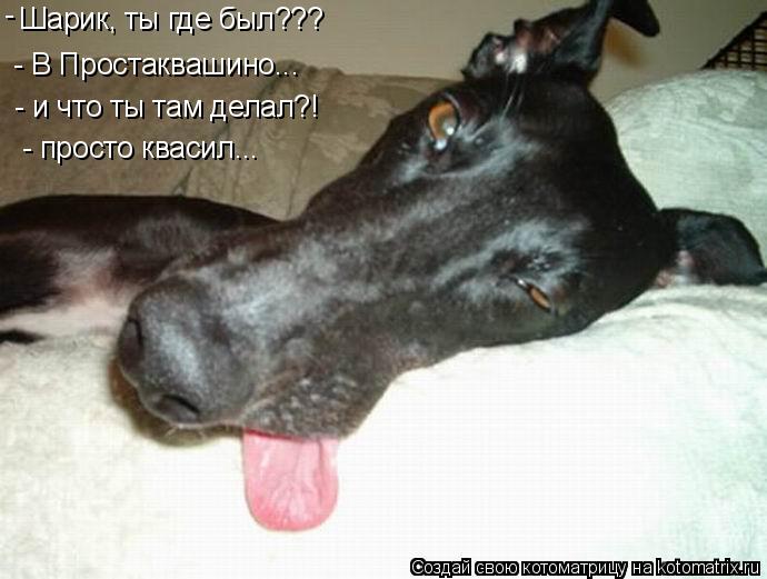 Шарик, ты где был??? - В Простаквашино... - - и что ты там делал?! - просто квасил...... Котоматрица: Шарик, ты где был??? - В Простаквашино... - - и что ты там делал?! - просто квасил...