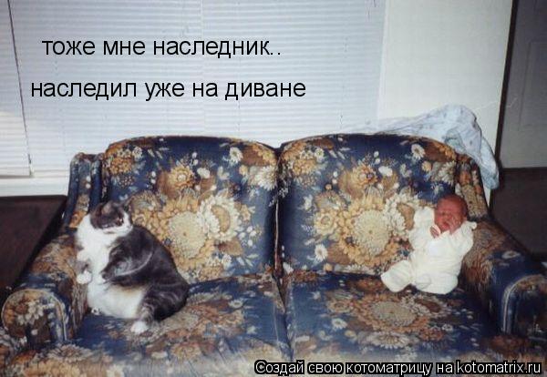 тоже мне наследник.. наследил уже на диване... Котоматрица: тоже мне наследник.. наследил уже на диване