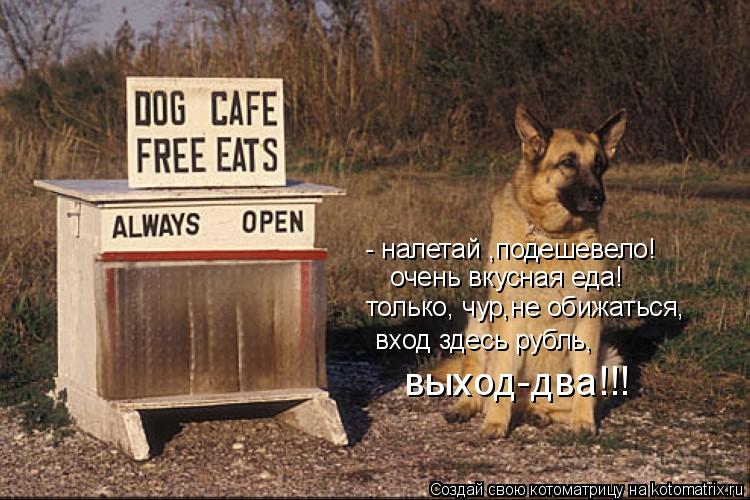 Котоматрица: - налетай ,подешевело! очень вкусная еда! только, чур,не обижаться, вход здесь рубль, выход-два!!!
