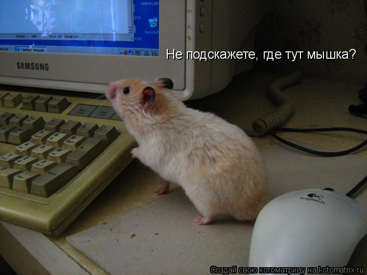 Котоматрица: Не подскажете, где тут мышка?