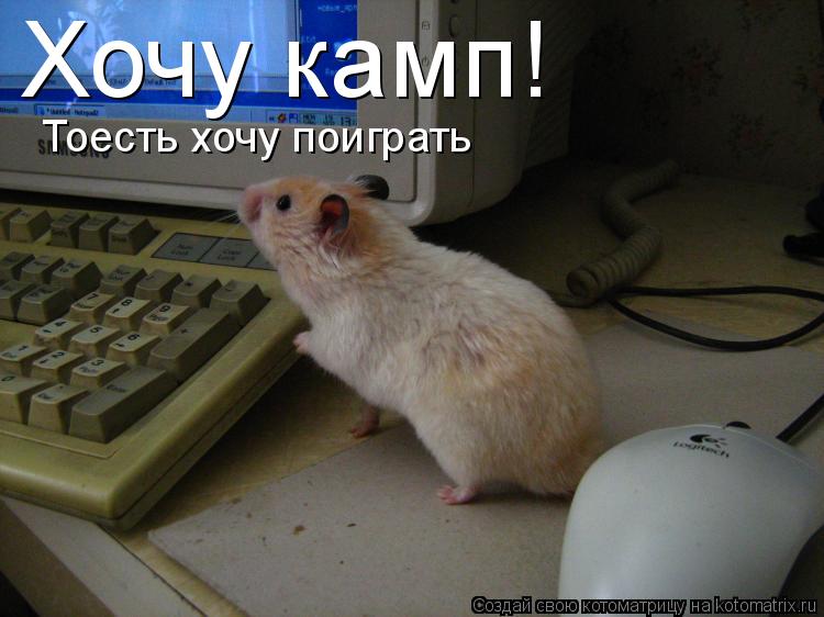 Котоматрица: Хочу камп! Тоесть хочу поиграть