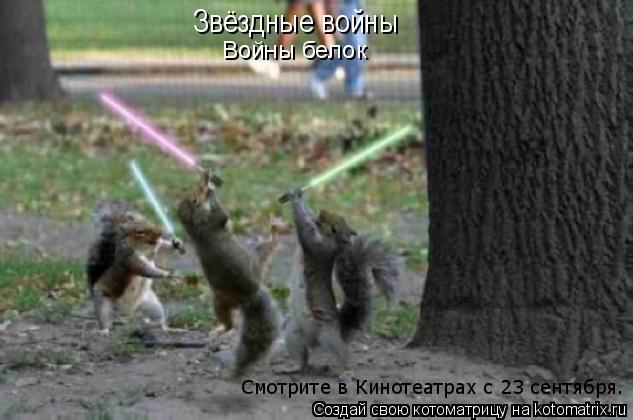 Котоматрица: Звёздные войны Войны белок Смотрите в Кинотеатрах с 23 сентября.