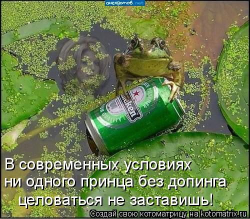В современных условиях ни одного принца без допинга целоваться не заставишь!... Котоматрица: В современных условиях ни одного принца без допинга целоваться не заставишь!