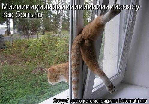 Котоматрица: Мииииииииииииииииииииииииияяяяу как больно