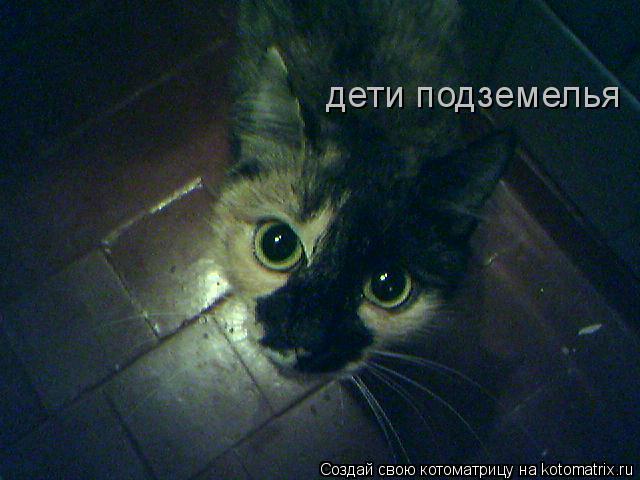 Котоматрица: дети подземелья