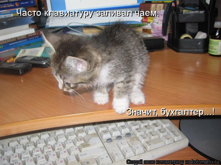 Котоматрица: Часто клавиатуру заливал чаем. Значит, бухгалтер...!