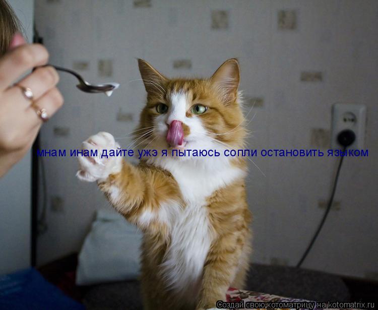 Котоматрица: мнам инам дайте ужэ я пытаюсь сопли остановить языком