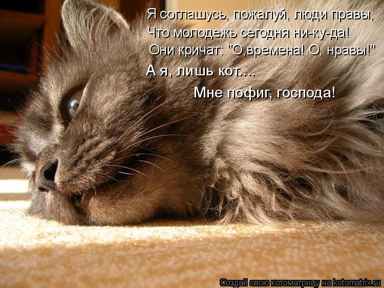 Котоматрица: Они кричат: "О,времена! О, нравы!" Я соглашусь, пожалуй, люди правы, Что молодежь сегодня ни-ку-да! А я, лишь кот.... Мне пофиг, господа!
