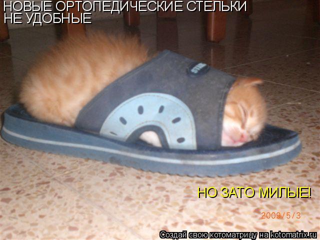 Котоматрица: НОВЫЕ ОРТОПЕДИЧЕСКИЕ СТЕЛЬКИ НЕ УДОБНЫЕ НО ЗАТО МИЛЫЕ!