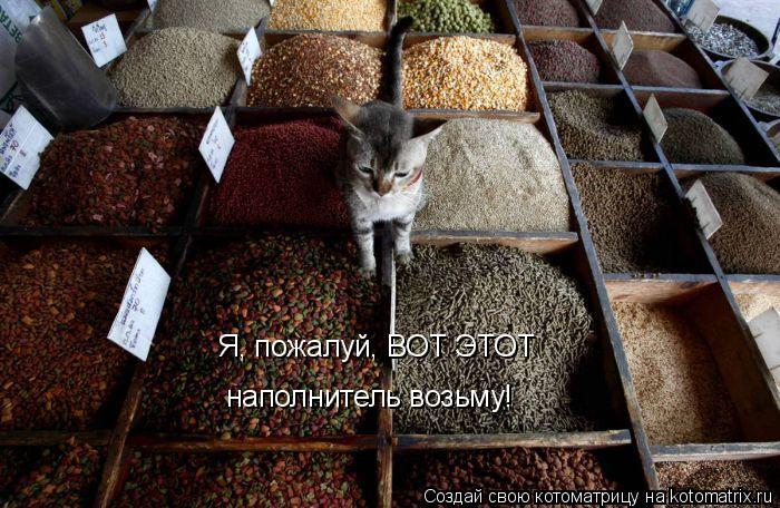 Котоматрица: Я, пожалуй, ВОТ ЭТОТ наполнитель возьму!
