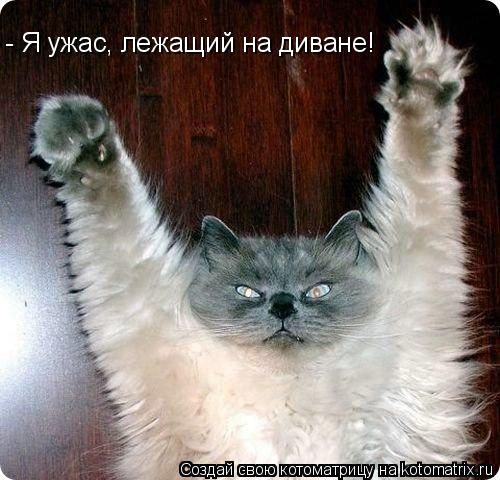 Котоматрица: - Я ужас, лежащий на диване!