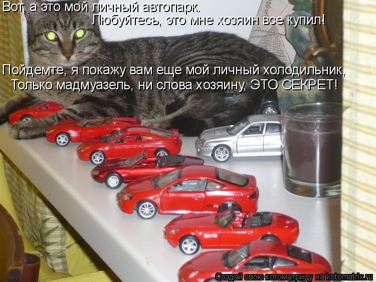 Вот, а это мой личный автопарк. Любуйтесь, это мне хозяин все купил! Пойдемте, я покажу вам еще мой ... Котоматрица: Вот, а это мой личный автопарк. Любуйтесь, это мне хозяин все купил! Пойдемте, я покажу вам еще мой личный холодильник, Только мадмуазель, ни