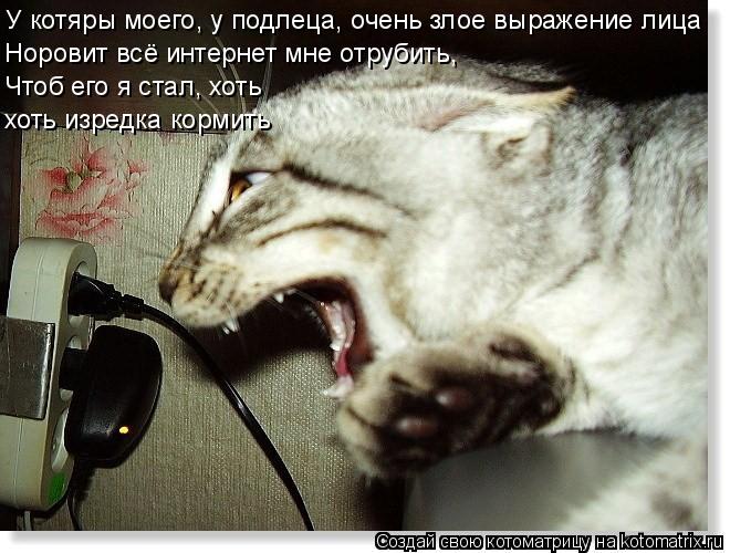 Котоматрица: У котяры моего, у подлеца, очень злое выражение лица Норовит всё интернет мне отрубить, Чтоб его я стал, хоть  хоть изредка кормить