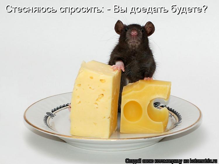Котоматрица: Стесняюсь спросить: - Вы доедать будете?